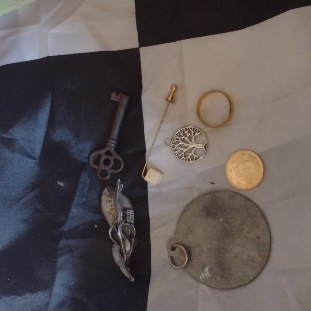 Monet tie pin/antique Key/GP Ring/tree of life pendant/'15 coin/mlo '91 duck etc - Picture 2 of 2